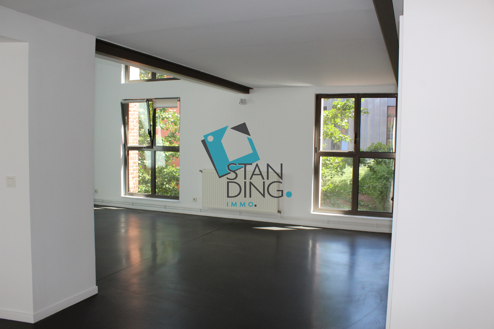 Image_, Appartement, Lille, ref :C