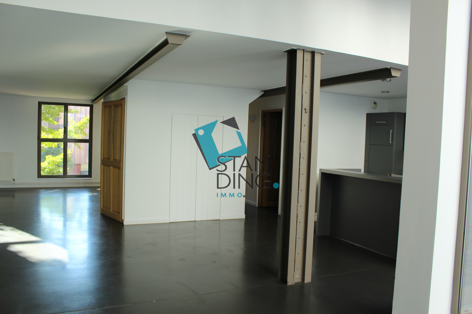 Image_, Appartement, Lille, ref :C