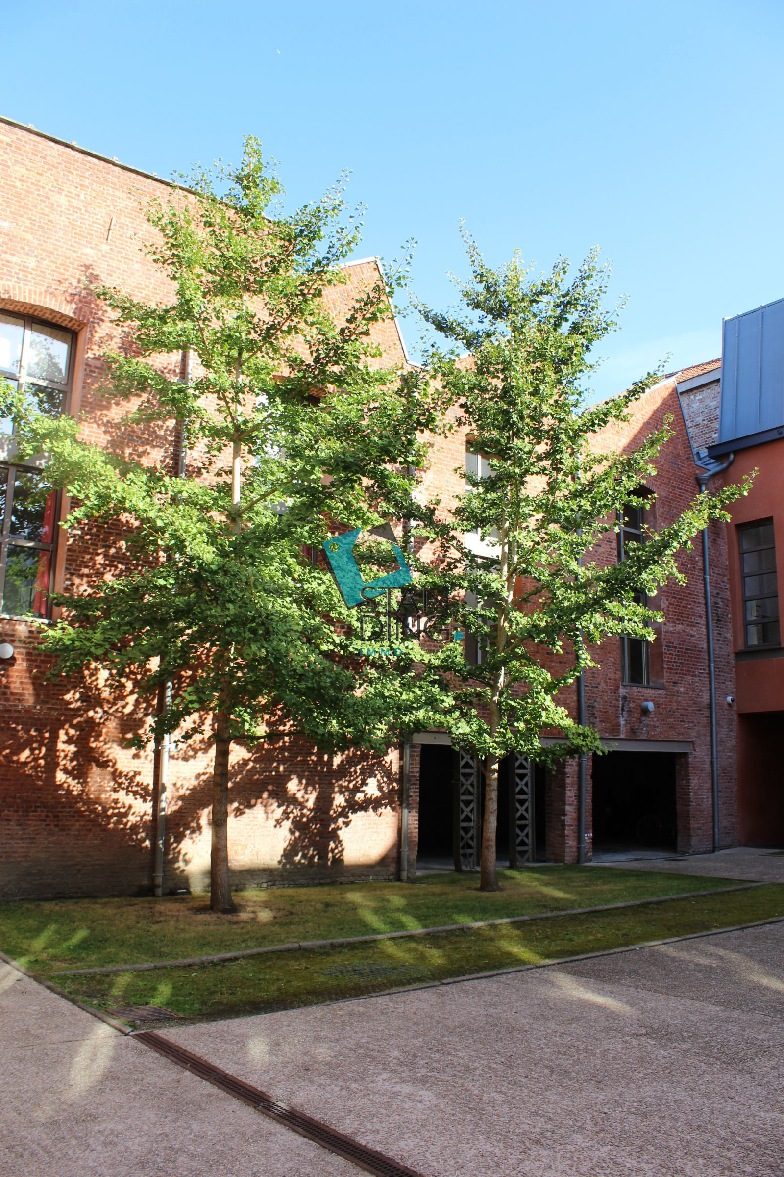 Image_, Appartement, Lille, ref :C