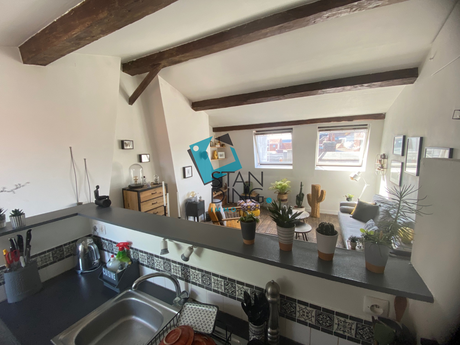 Image_, Appartement, Lille, ref :C