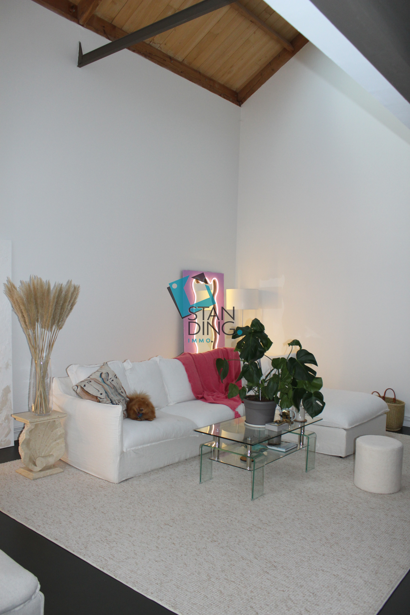 Image_, Appartement, Lille, ref :C