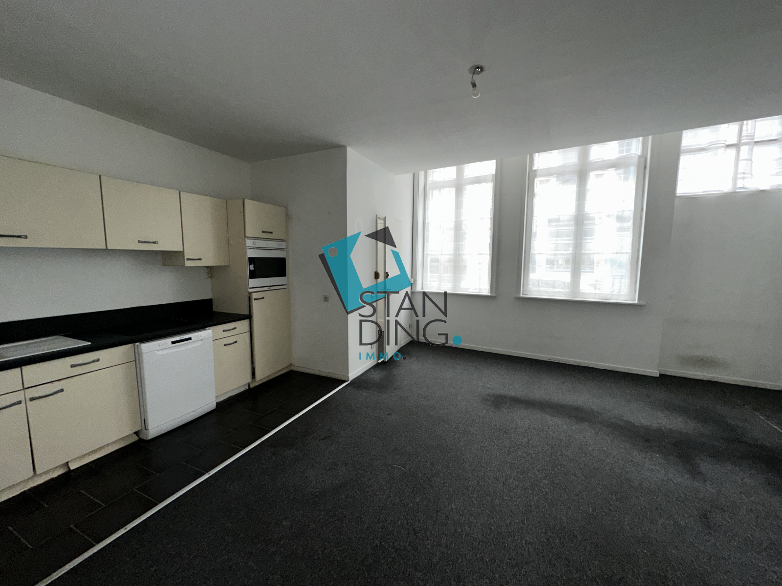 Image_, Appartement, Lille, ref :C