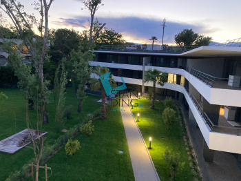 Image_, Appartement, Lille, ref :C