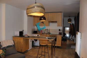 Image_, Appartement, Lille, ref :C